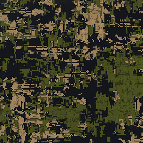 Digital in Camouflage Series