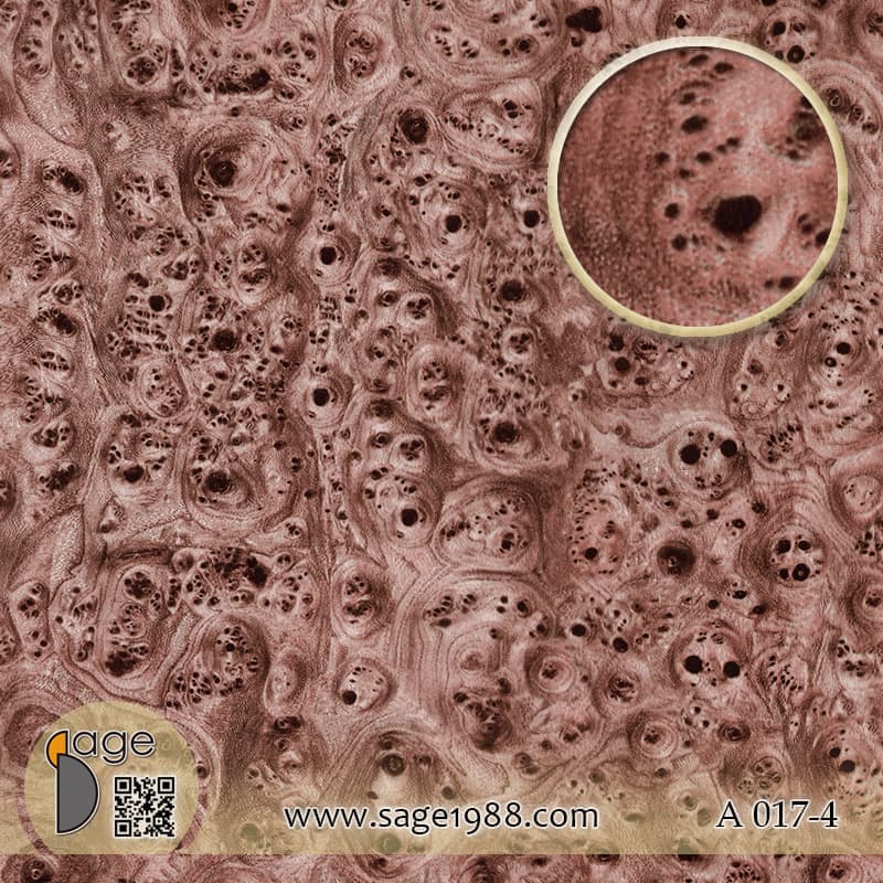 A017-4