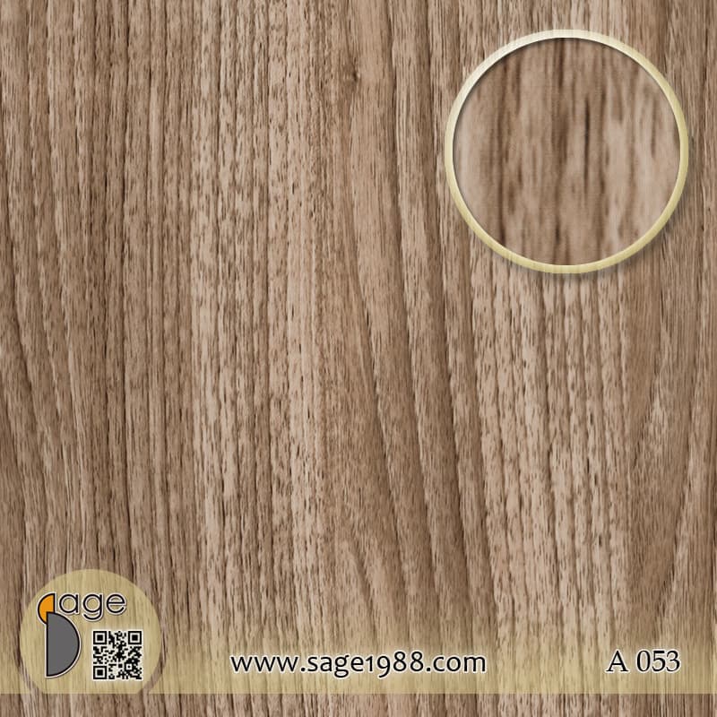 A053