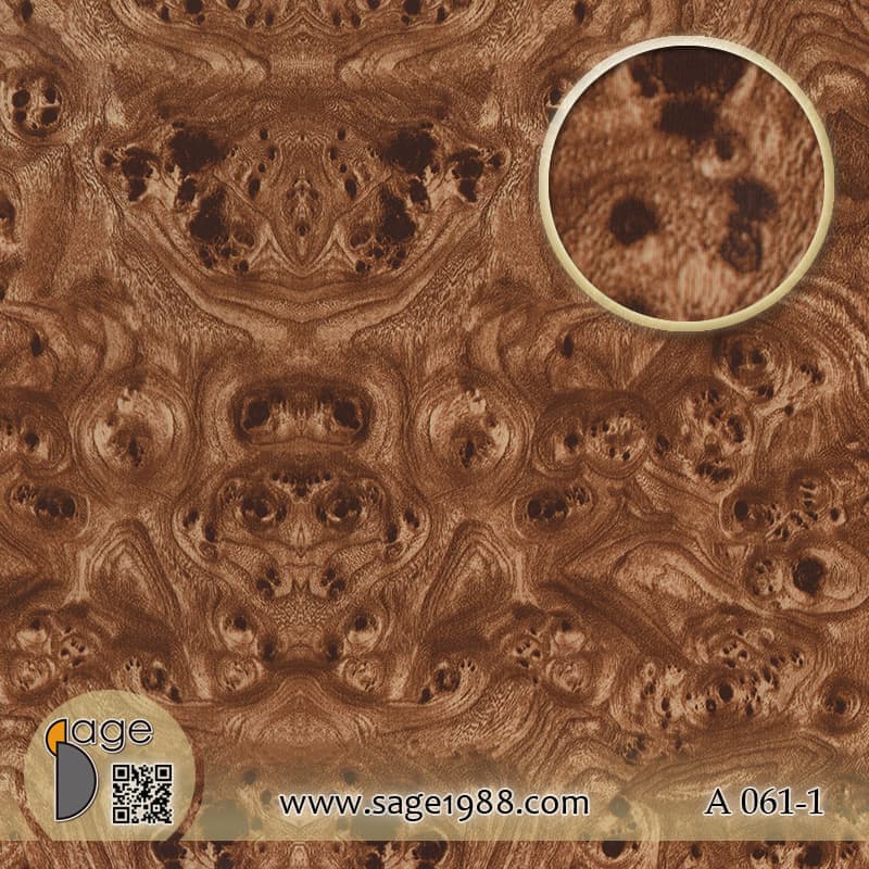 A061-1