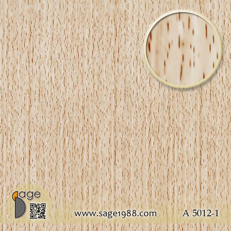 A5012-1