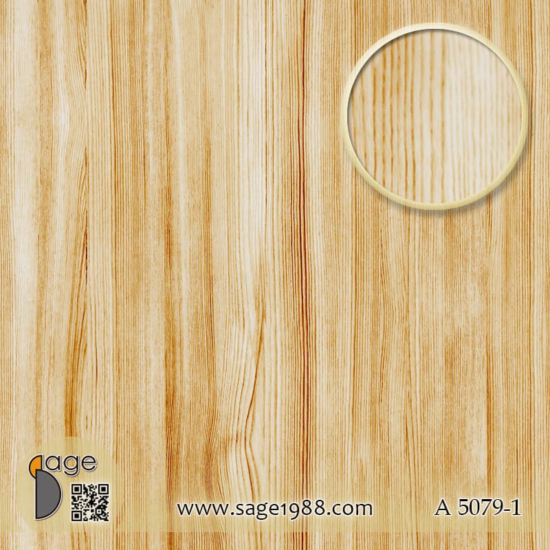 A5079-1