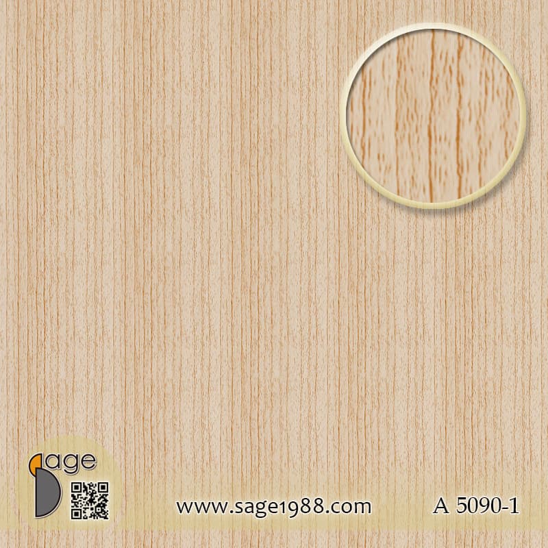 A5090-1