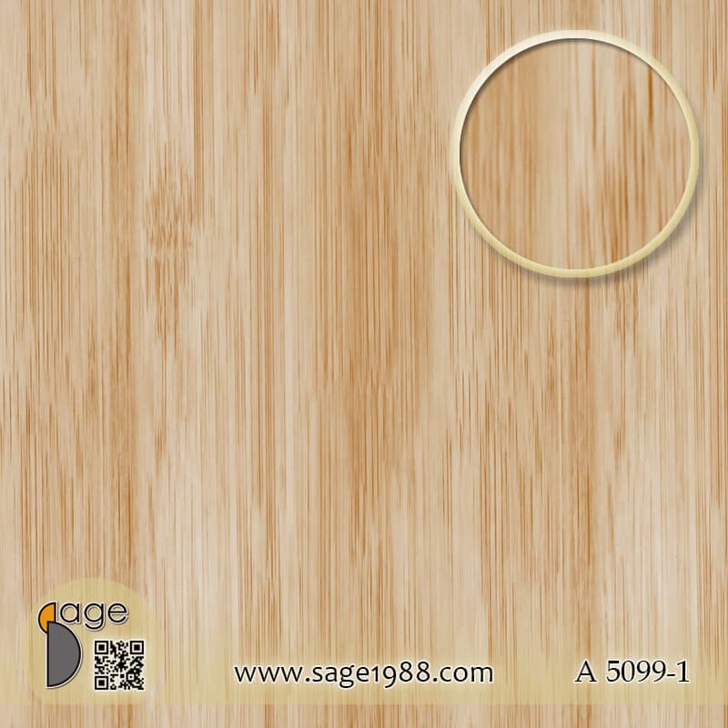 A5099-1