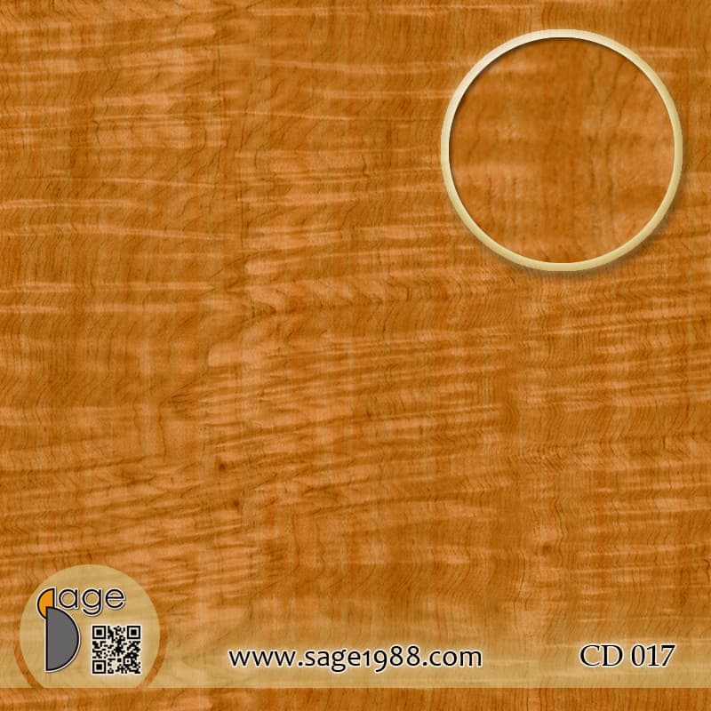 CD017