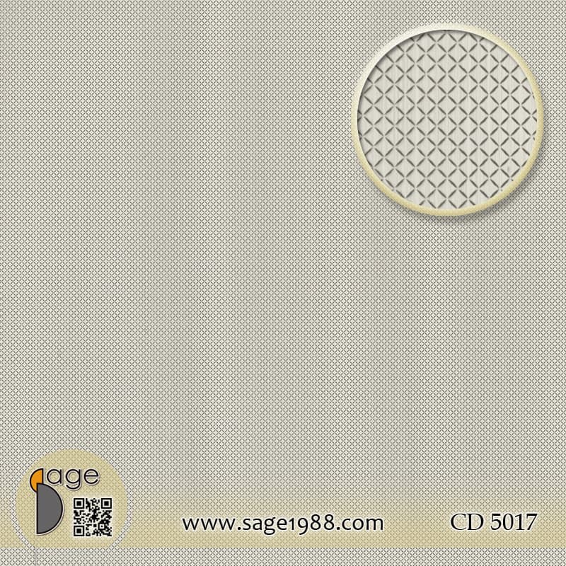 CD5017