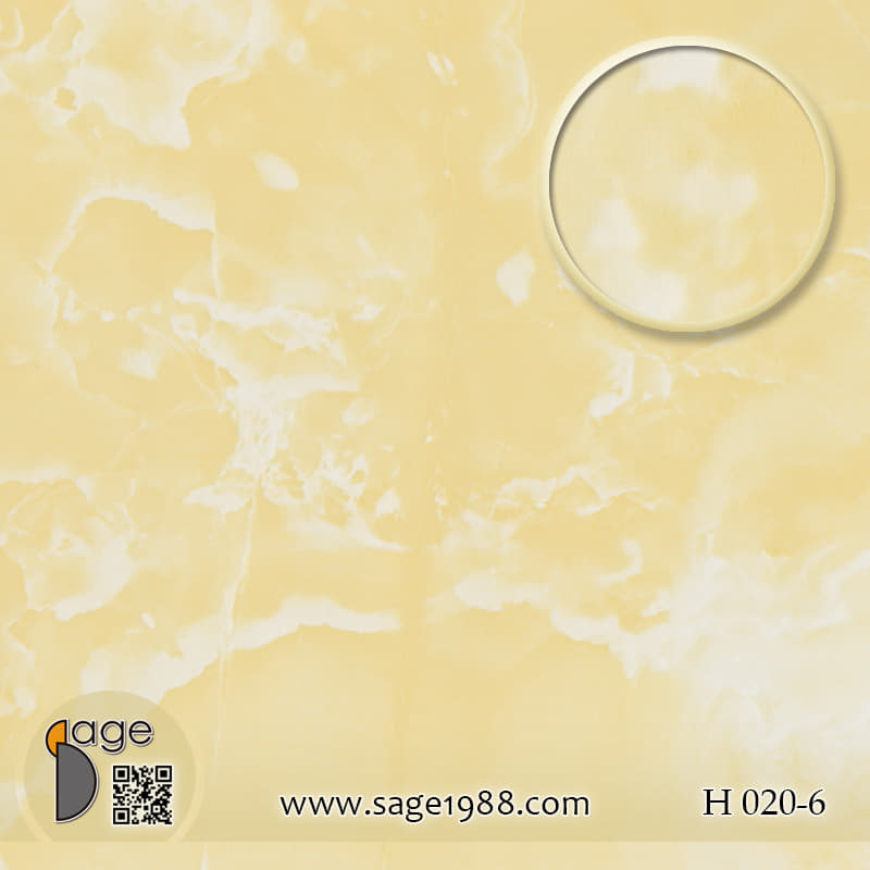 H020-6