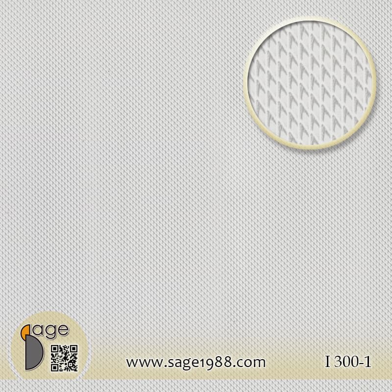 I300-1