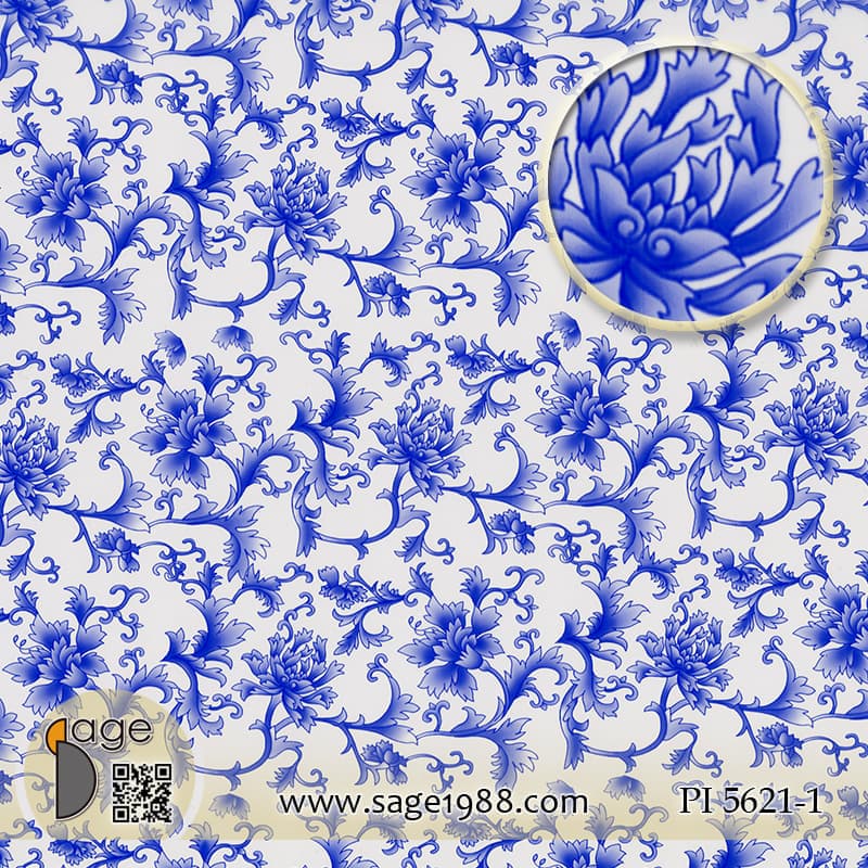 PI5621-1
