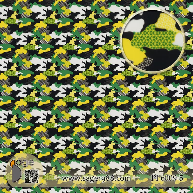 PI6009-5