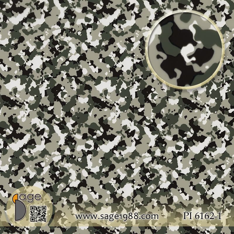 PI6162-1