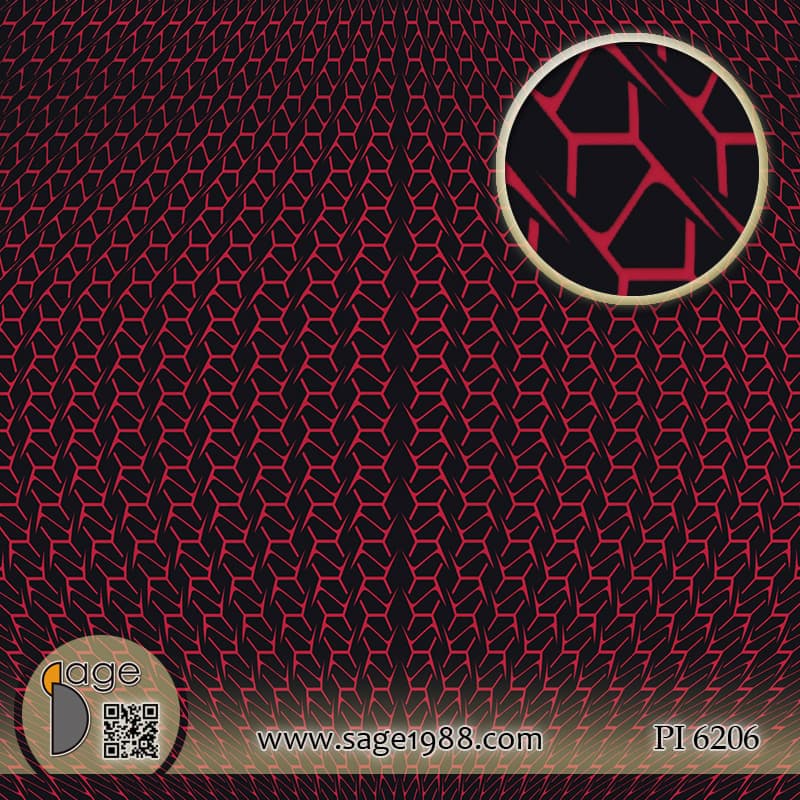 PI6206