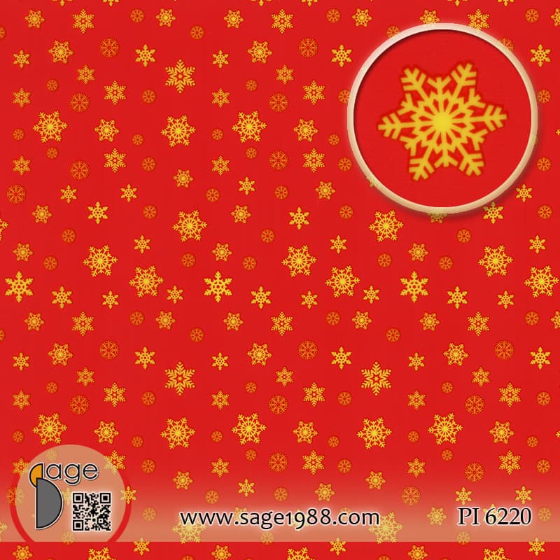 PI6220