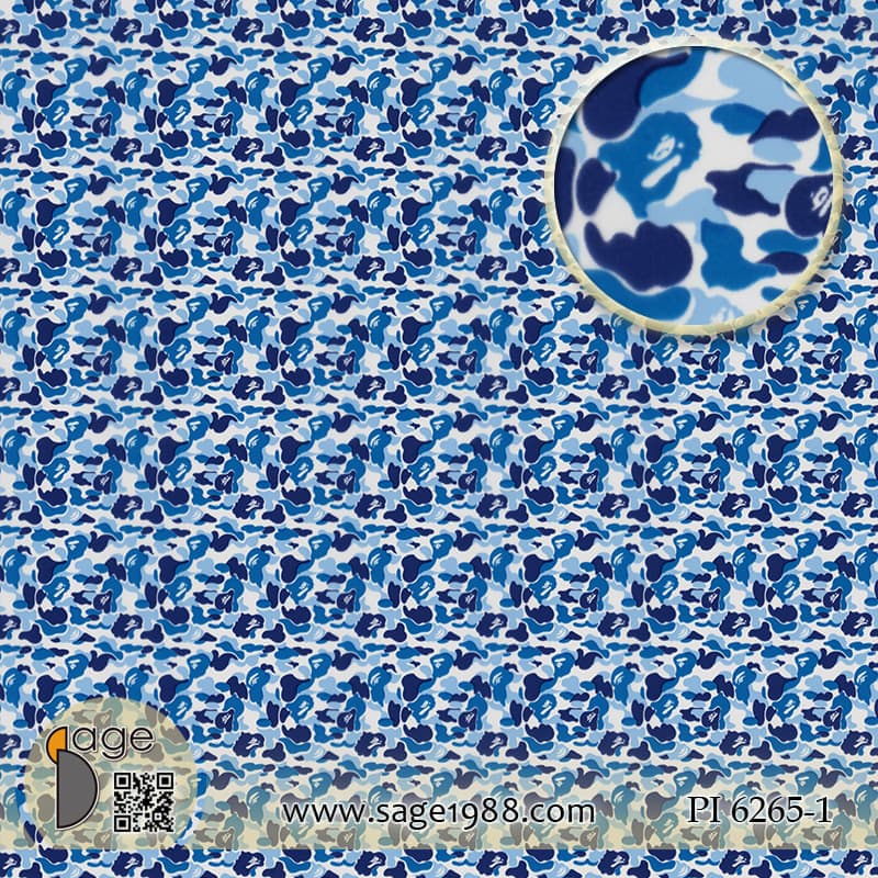 PI6265-1